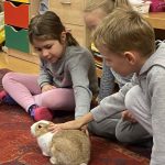 67512f97-a3ec-4a44-9ad3-cb25f8190844