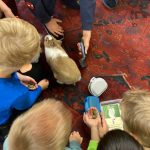 7447168b-ce89-4152-847d-b3330938610d