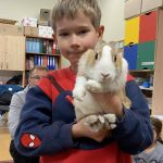 c3af571f-c2c1-44f6-91b7-c64445c1cbe8