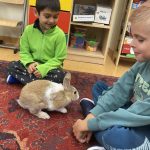 d6a82371-8494-40cb-ab74-d02e35e5adc7