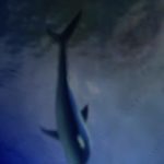 32a11bdc-b75d-4005-920b-e6b2d9bcad2b