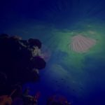 483dc837-1c71-472c-b55a-048777fe7977