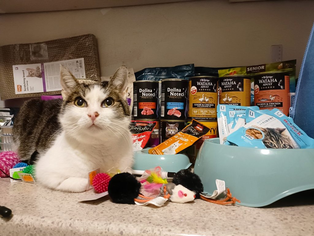 Podziękowania za wsparcie FOP Wrocław